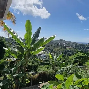 https://tranquility-with-stunning-view.comcaribbean.com